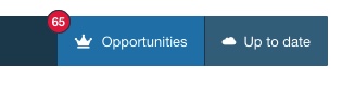 Opportunities Badge on Vik Channel Manager